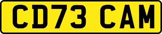 CD73CAM