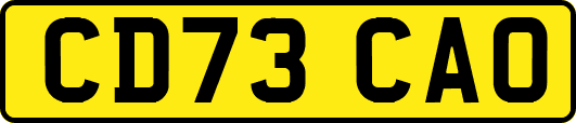 CD73CAO