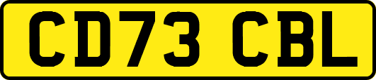 CD73CBL