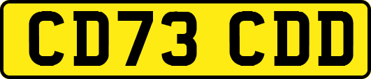 CD73CDD