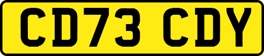CD73CDY
