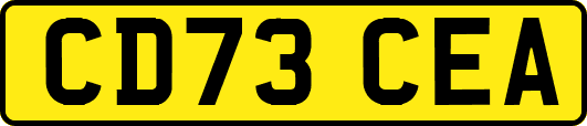 CD73CEA