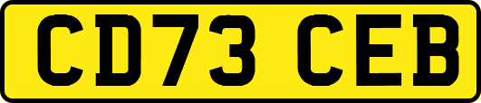CD73CEB