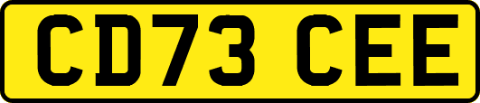CD73CEE