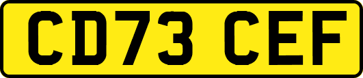 CD73CEF