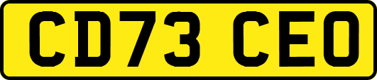 CD73CEO