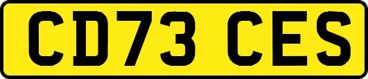 CD73CES