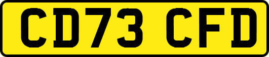 CD73CFD