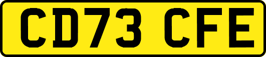 CD73CFE