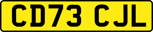 CD73CJL