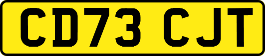 CD73CJT