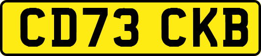 CD73CKB