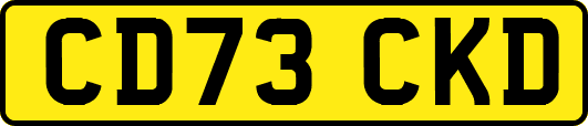 CD73CKD