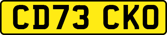 CD73CKO