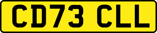 CD73CLL