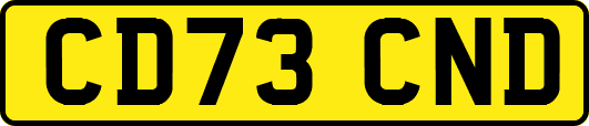 CD73CND