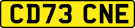 CD73CNE