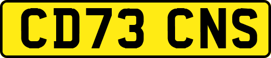 CD73CNS