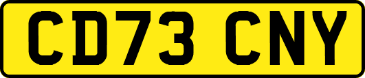 CD73CNY