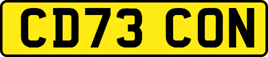CD73CON