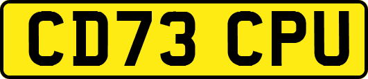 CD73CPU