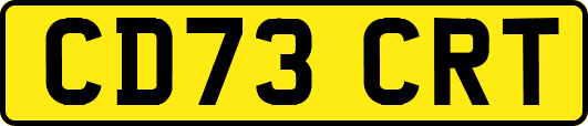 CD73CRT