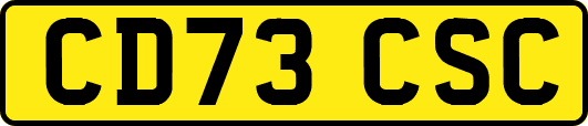 CD73CSC