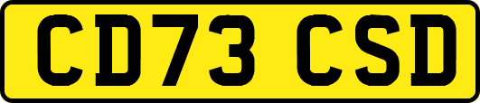 CD73CSD