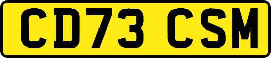 CD73CSM