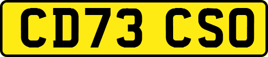 CD73CSO