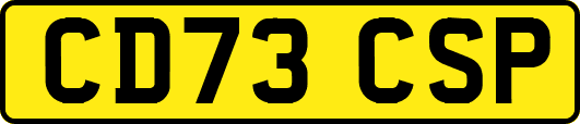 CD73CSP