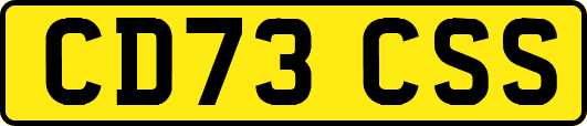 CD73CSS
