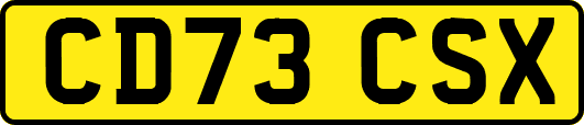 CD73CSX