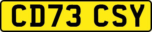 CD73CSY