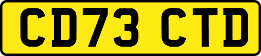 CD73CTD