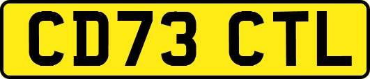 CD73CTL