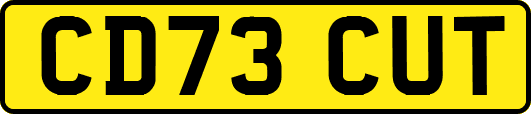 CD73CUT