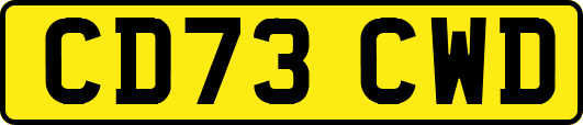 CD73CWD