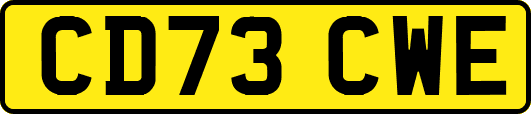 CD73CWE