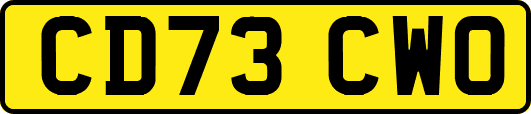 CD73CWO