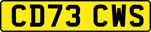CD73CWS
