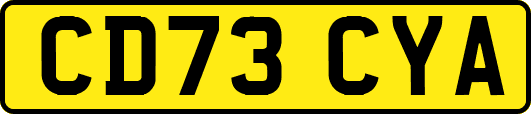 CD73CYA