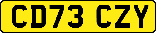 CD73CZY