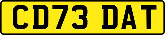 CD73DAT