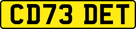 CD73DET