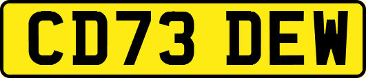 CD73DEW