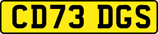 CD73DGS