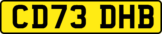 CD73DHB