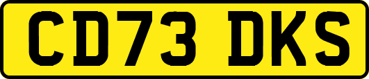 CD73DKS