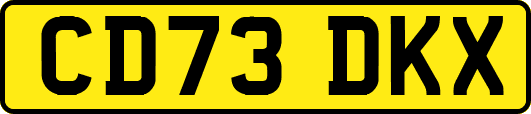 CD73DKX